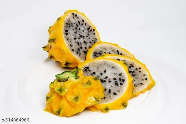 Hybrid_Dragon_Plant_Pack_Of_3