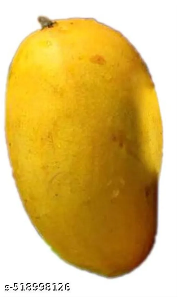 Mango_Plant_Hybrid