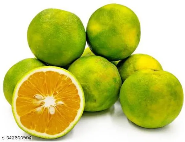 Sweet_Mosambi_Lemon_Fruit_Plant_Hybrid