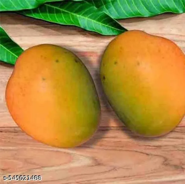 Sweet_All_Time_Hybrid_Mango