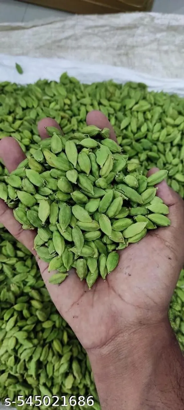 Green_Cardamom_Hybrid_Elichi_Plant_Best_Quality_Plant