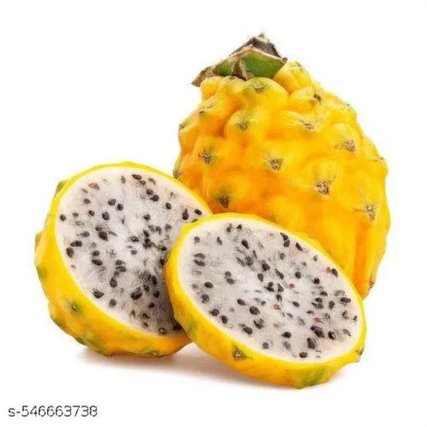 Pack_Of_3_Dragon_Red_White_Yellow_Fruit_Plant_Hybrid