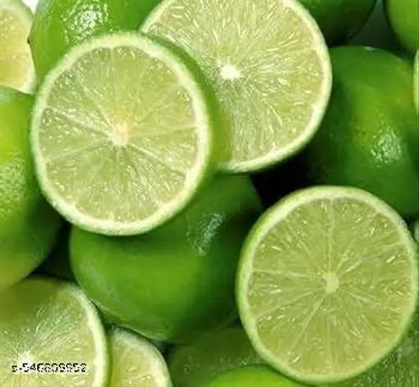 Pack_Of_2_All_Time_Hybrid_Seedless_Lemon_Plant