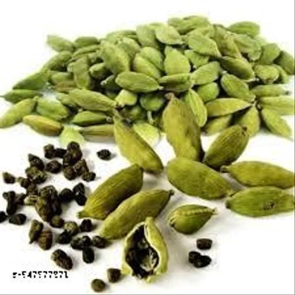 Hybrid_Elaichi_Cardamom_Plant