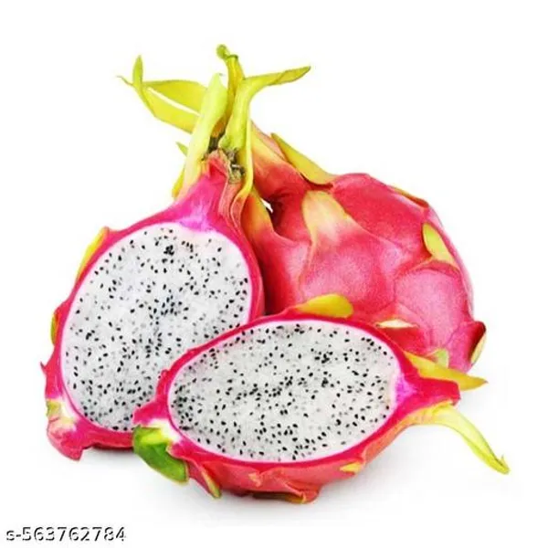 Dragon_Fruit_Plant_Pack_Of_3