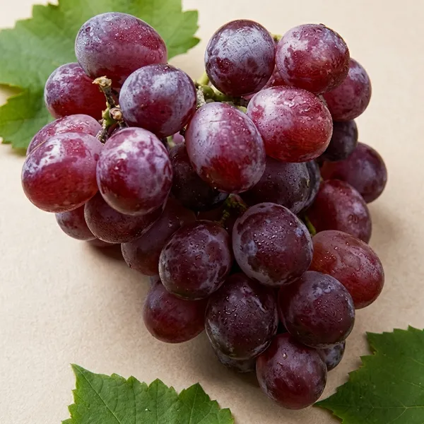 Sweet_Red_Grape_Fruit_Plant