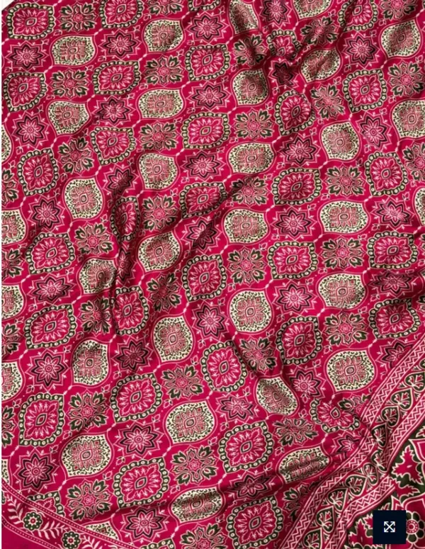 The_Vulture_Rani_Ajarakh_Printed_Soft_Gaji_Silk_Natural_Print_Saree_With_Blouse_piece_for_Women