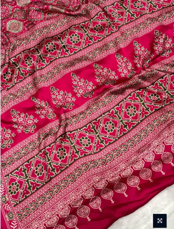 The_Vulture_Rani_Ajarakh_Printed_Soft_Gaji_Silk_Natural_Print_Saree_With_Blouse_piece_for_Women