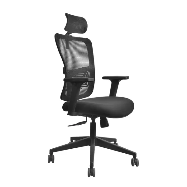 Black_Nylon_Frame_Mesh_Back_Fabric_Seat_Chrome_Base_High-Back_Ergonomic_Chair