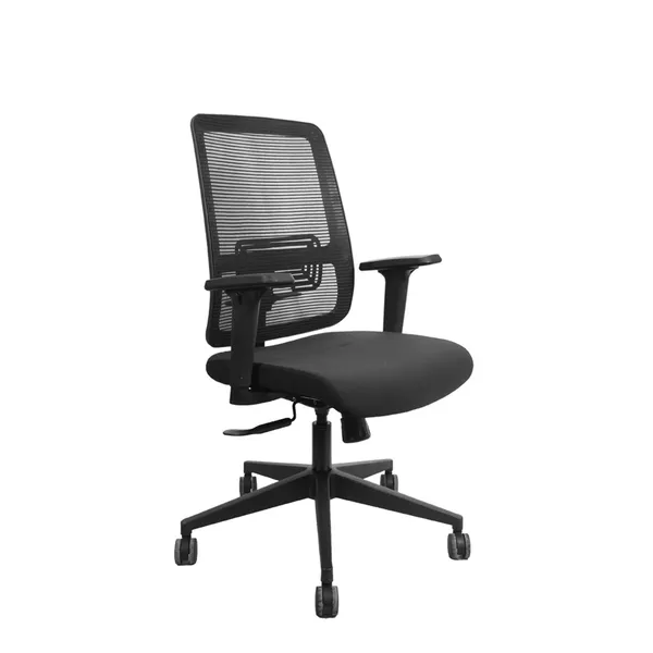 Black_Nylon_Frame_Mesh_Back_Fabric_Seat_Chrome_Base_Adjustable_Office_Chair