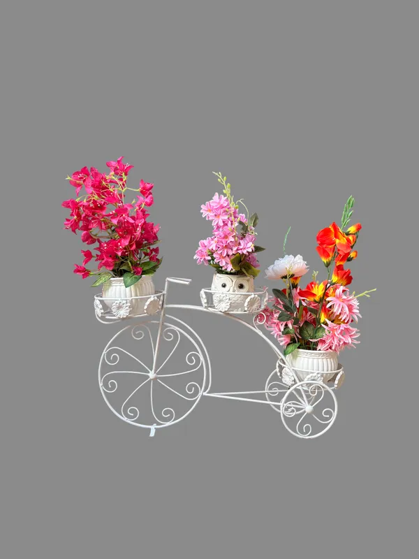 Metal_Handcrafted_Tricycle_Design_Planter_Stand