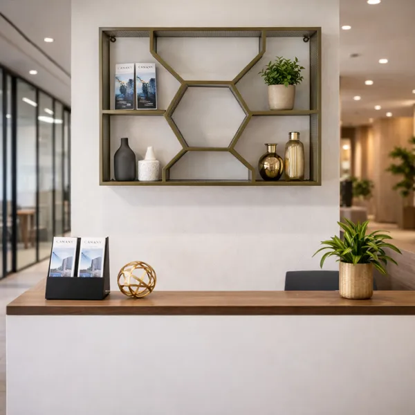 Metal_Geometric_Hexagon_Wall_Mounted_Display_Shelf