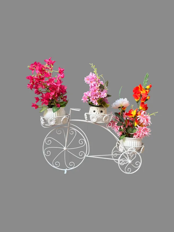 Metal_Handcrafted_Tricycle_Design_Planter_Stand