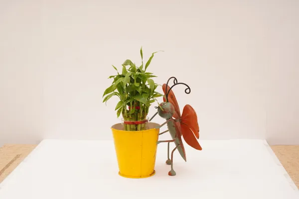 Multicolor_Metal_Butterfly_Design_Plant_Stand