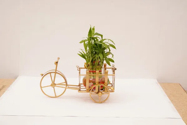 Metal_Decorative_Cycle_Gold_Plant_Stand