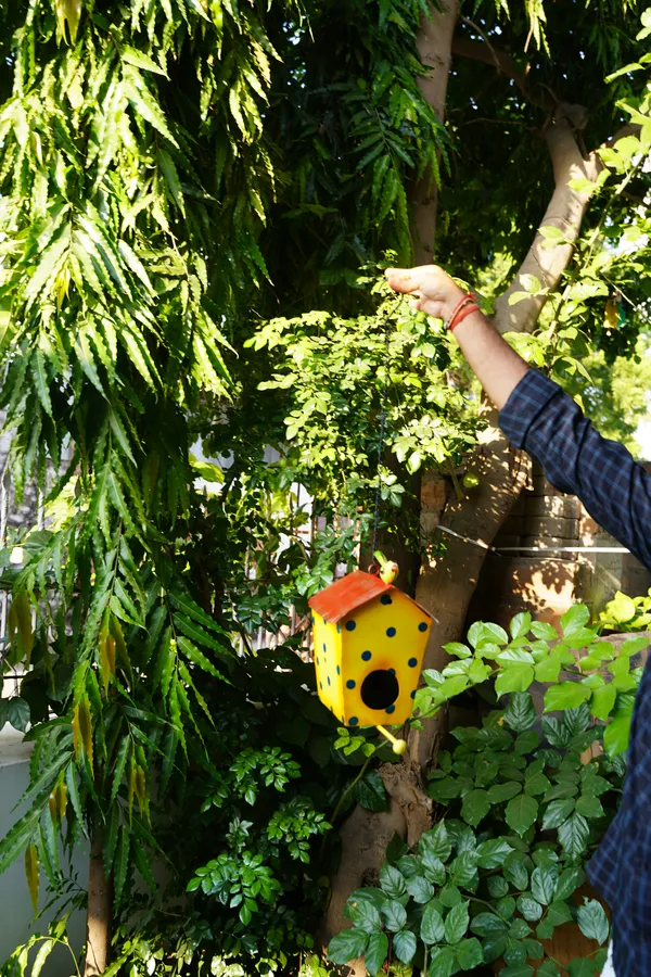 Yellow_Metal_Plant_Stand