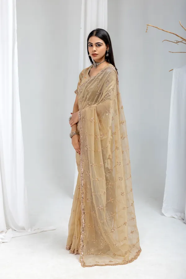 Chiku_SareeOrgenza_Net_Work:_Beads_Sequence_Cutdana_Threadwork__And_Zari_Theadwork_For_Women