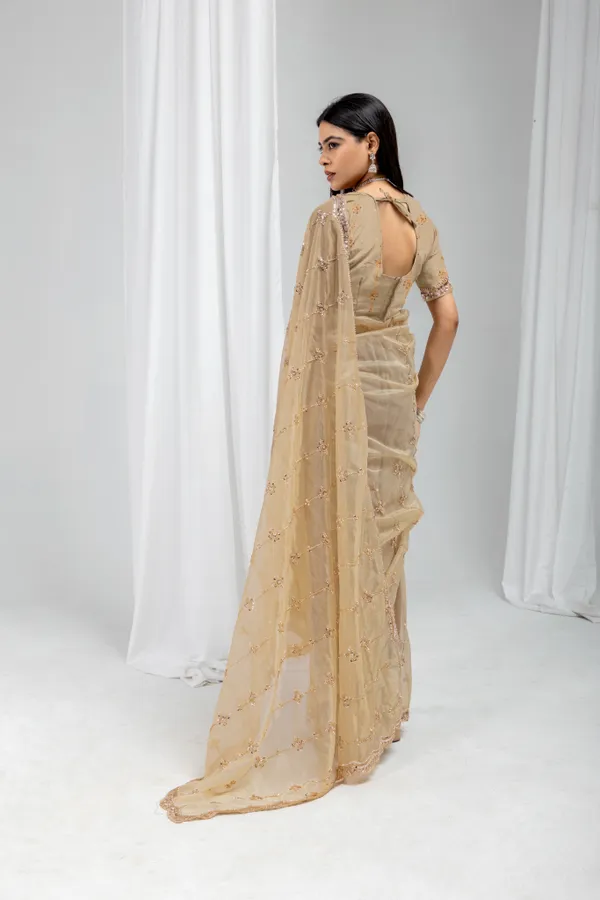 Chiku_SareeOrgenza_Net_Work:_Beads_Sequence_Cutdana_Threadwork__And_Zari_Theadwork_For_Women