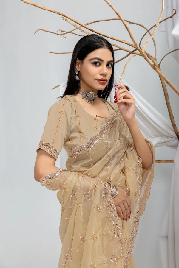 Chiku_SareeOrgenza_Net_Work:_Beads_Sequence_Cutdana_Threadwork__And_Zari_Theadwork_For_Women