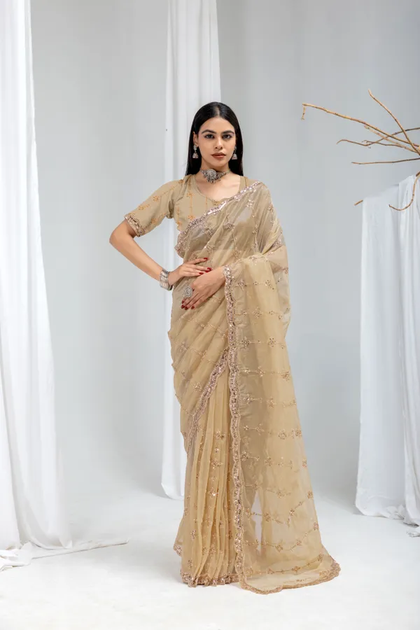 Chiku_SareeOrgenza_Net_Work:_Beads_Sequence_Cutdana_Threadwork__And_Zari_Theadwork_For_Women