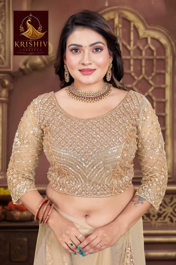 Chiku_Saree_Net_Work:_Beads_Sequence_Cutdana_Threadwork__And_Zari_Theadwork_For_Women