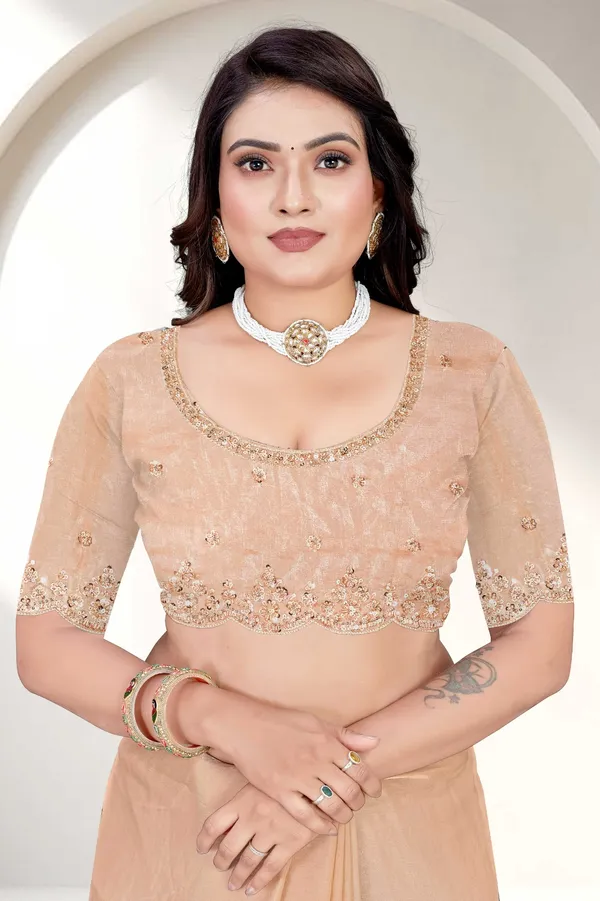 Beige_SareeFendi_Silk_Work:_Beads_Sequence_Cutdana_Threadwork__And_Zari_Theadwork_For_Women