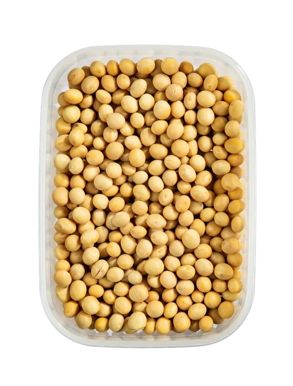 Hokkaido_Rectangular_Food_Storage_Container_Box