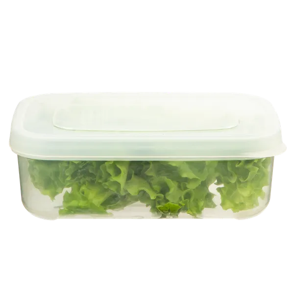 Hokkaido_Rectangular_Food_Storage_Container_Box