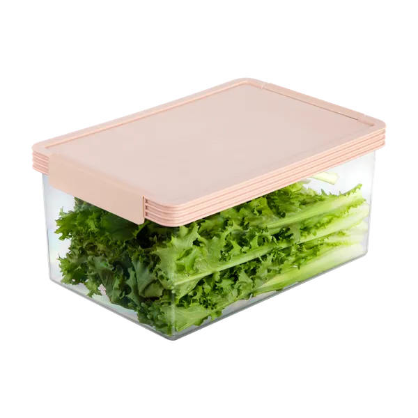 Tritan_Hokkaido_Rectangular_Food_Container