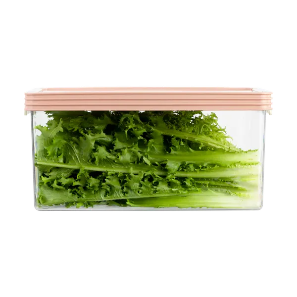 Tritan_Hokkaido_Rectangular_Food_Container