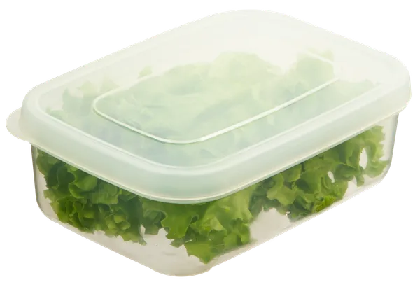 Hokkaido_Rectangular_Food_Storage_Container_Box