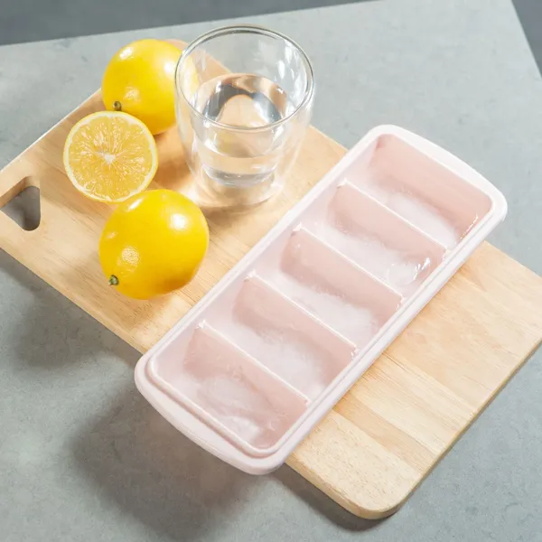 Kari_10_Slot_Ice_Tray_Pack_Of_2
