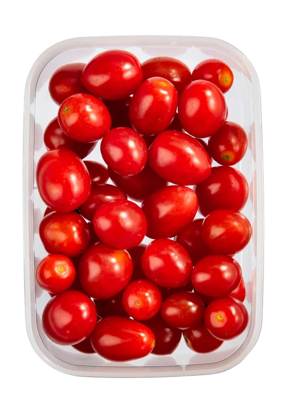 Hokkaido_Rectangular_Food_Storage_Container_Box
