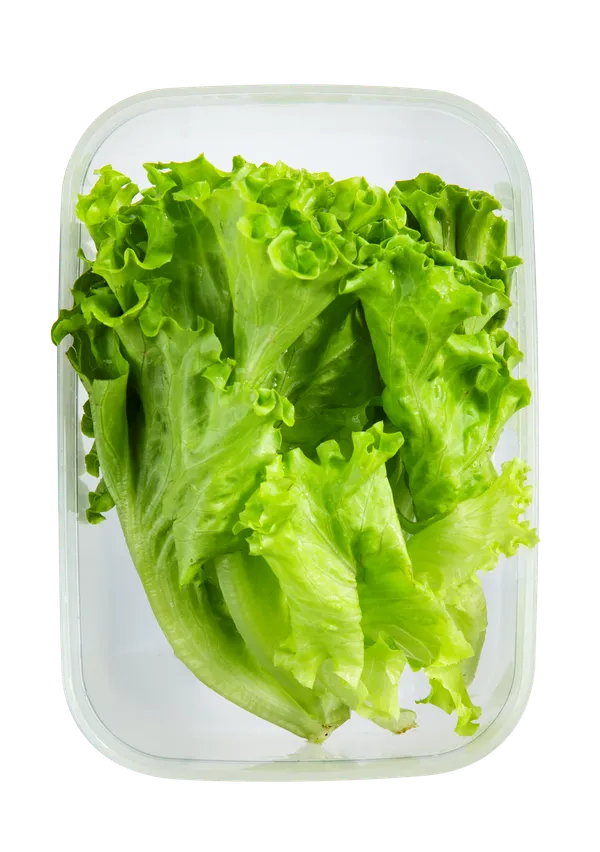 Hokkaido_Rectangular_Food_Storage_Container_Box
