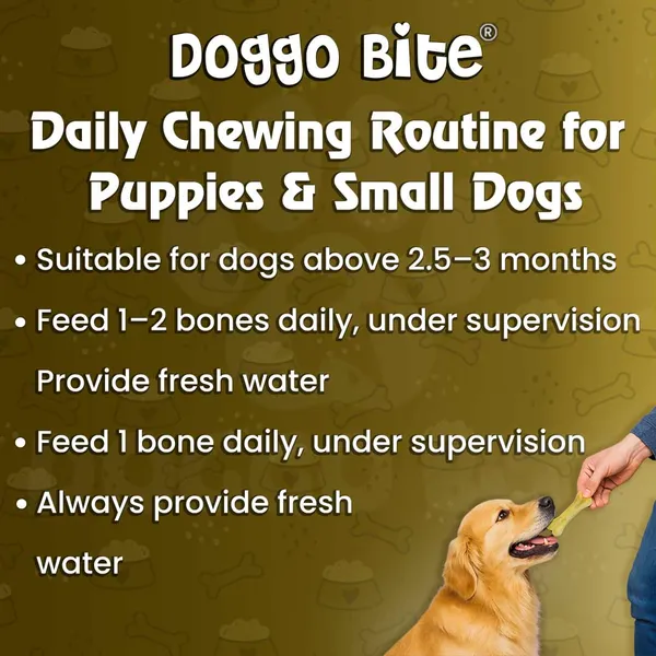 Doggo_Bite_Natural_Rawhide_Dog_Bone_3_Inch_For_Puppies_And_Small_Dogs