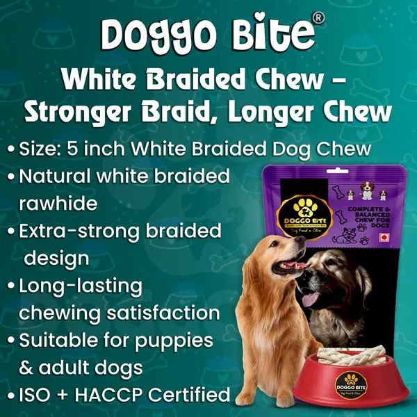 Doggo_Bite_White_Braided_Rawhide_Dog_Chew_Stick_5_Inch