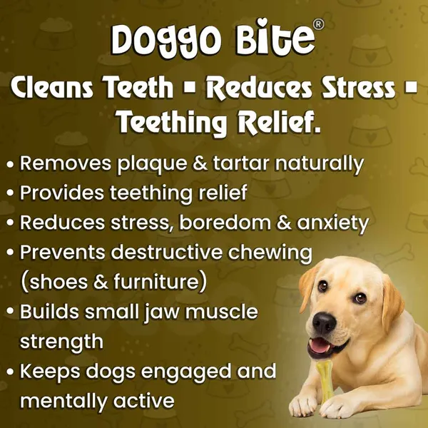 Doggo_Bite_Natural_Rawhide_Dog_Bone_4_Inch_For_Small_And_Medium_Dogs