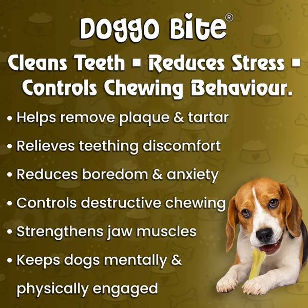 Doggo_Bite_Natural_Rawhide_Dog_Bone_6_Inch_For_Medium_And_Large_Dogs