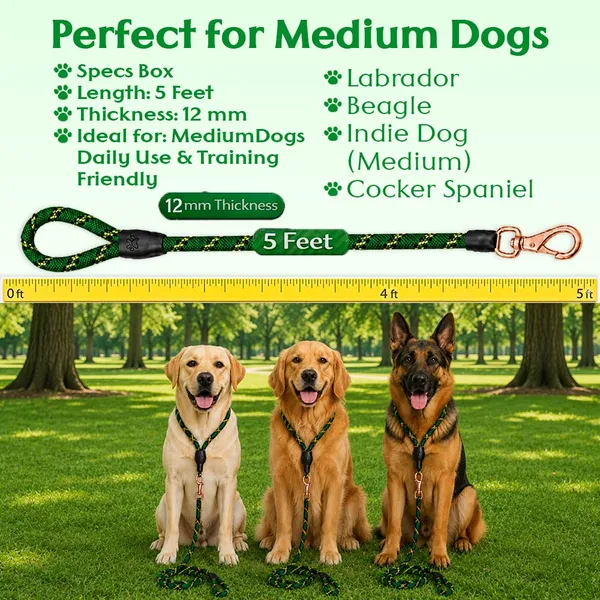 Doggo_Bite_Green_Nylon_Rope_Dog_Walking_Leash_With_Silicone_Cap_Pack_Of_2