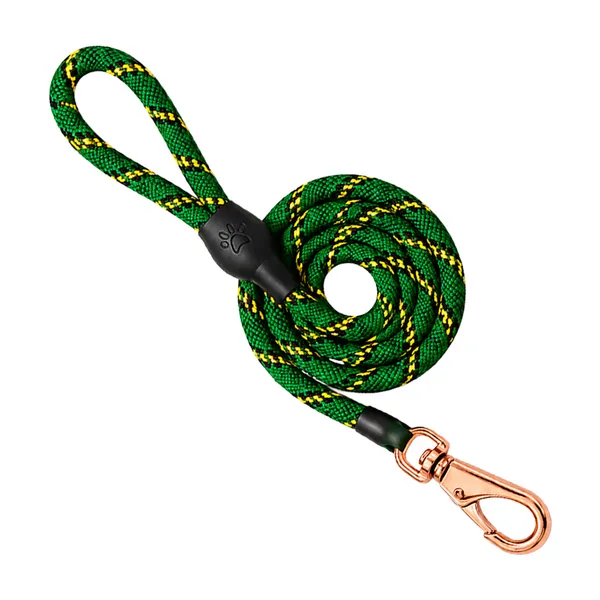 Doggo_Bite_Green_Nylon_Rope_Dog_Walking_Leash_With_Silicone_Cap_Pack_Of_2