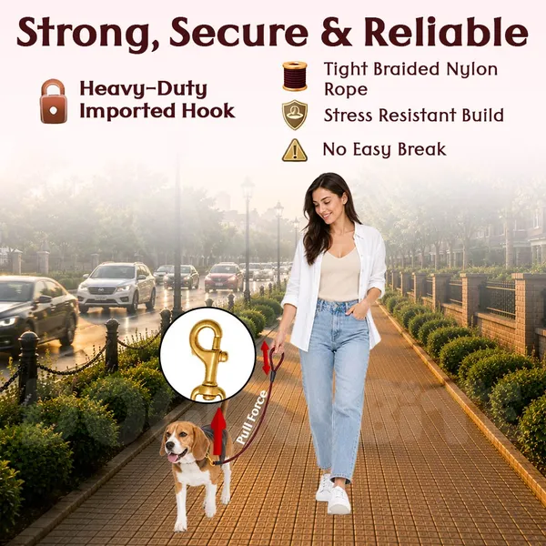 Doggo_Bite_Dark_Red_Nylon_Rope_Dog_Leash_Brass_Hook_5_Feet