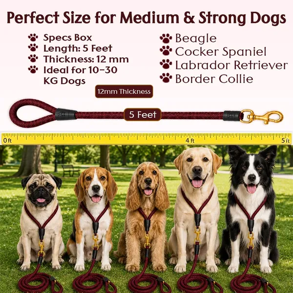 Doggo_Bite_Dark_Red_Nylon_Rope_Dog_Leash_Brass_Hook_5_Feet