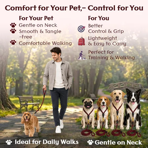 Doggo_Bite_Dark_Red_Nylon_Rope_Dog_Leash_Brass_Hook_5_Feet