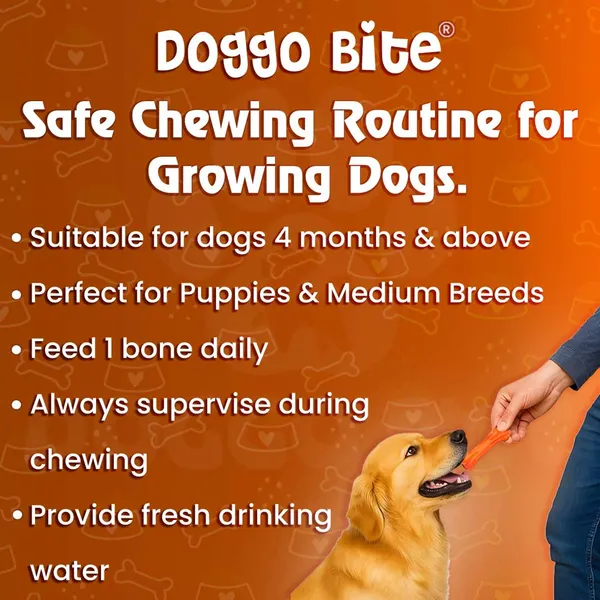Doggo_Bite_Chicken_Barbeque_Rawhide_Chew_Bone_5_Inch_For_Puppies_And_Medium_Dogs