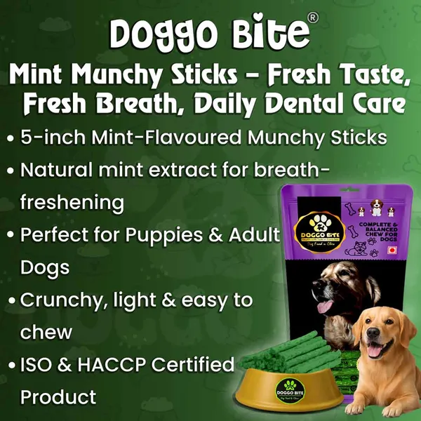 Doggo_Bite_Mint_Munchy_Rawhide_Stick_5_Inch_For_Small_And_Medium_Dogs