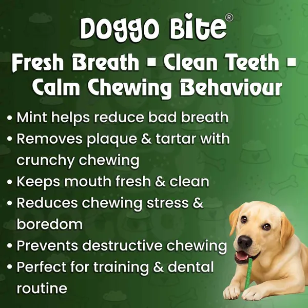 Doggo_Bite_Mint_Munchy_Rawhide_Stick_5_Inch_For_Small_And_Medium_Dogs