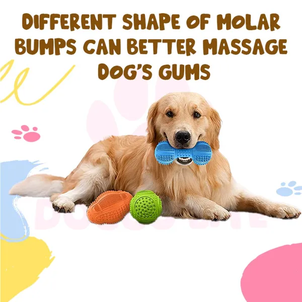 Doggo_Bite_Dumbbell_Textured_Rubber_Chew_Toy_15_Cm_For_Dogs