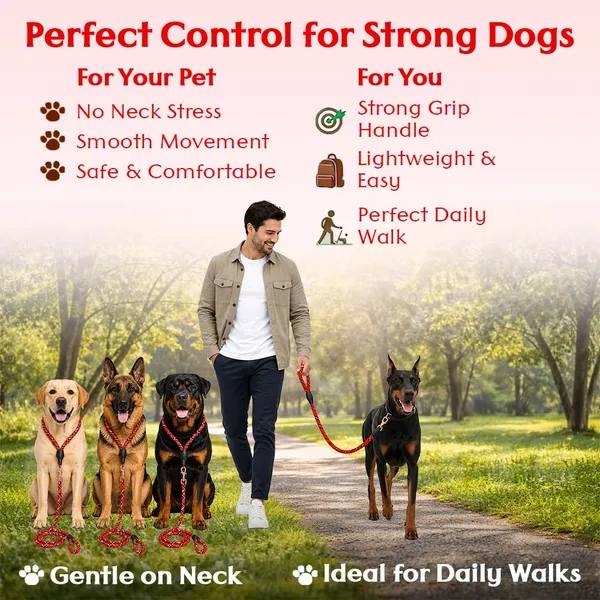 Doggo_Bite_Red_Nylon_Rope_Dog_Walking_Leash_With_Silicone_Cap_Pack_Of_2