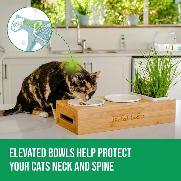 Doggo_Bite_Ceramic_Cat_Dish_Set_With_Cat_Grass