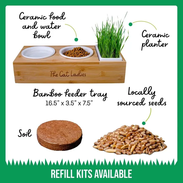 Doggo_Bite_Ceramic_Cat_Dish_Set_With_Cat_Grass